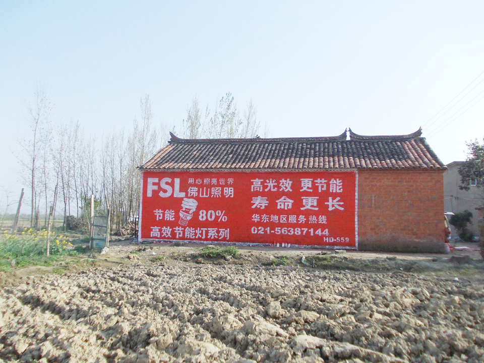 佛山照明墙体广告
